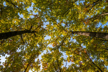 Similar image 21422333