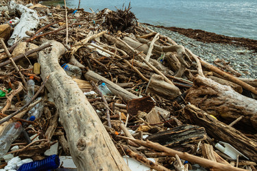 Similar image 21405631