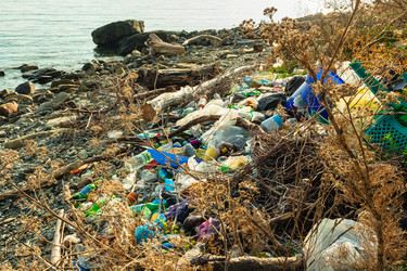 Similar image 21407542