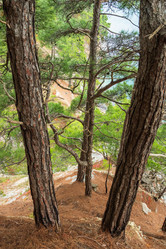 Similar image 21407543