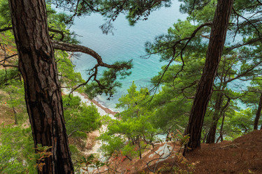 Similar image 21422534