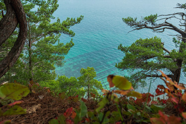 Similar image 21407544