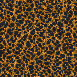 Similar image 21428062