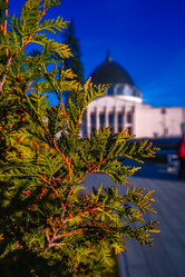 Similar image 21399349