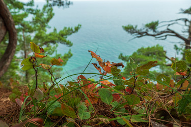 Similar image 21422535