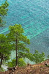 Similar image 21407545