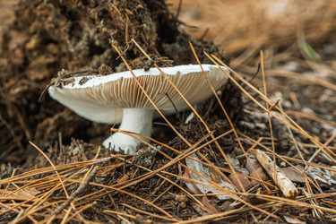 Similar image 21422538