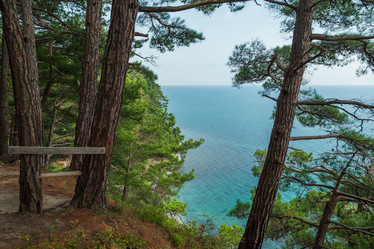 Similar image 21422539