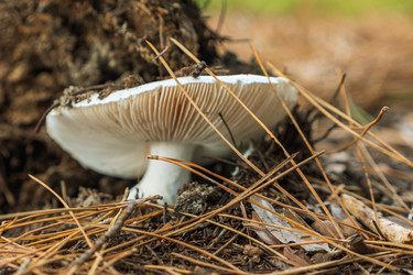 Similar image 21422540