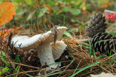 Similar image 21407549