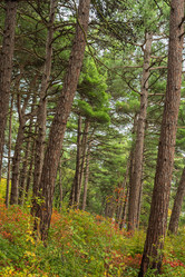 Similar image 21422543