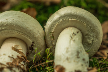 Similar image 21407551