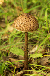 Similar image 21422217