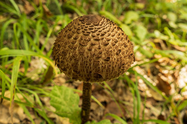 Similar image 21399682