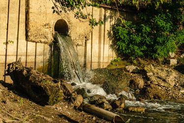 Similar image 21422346