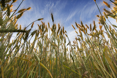 Similar image 21400196