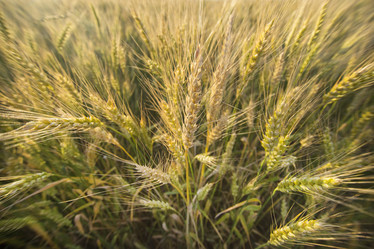 Similar image 21400198