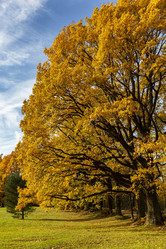 Similar image 21400199