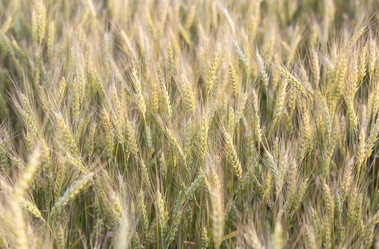 Similar image 21400200