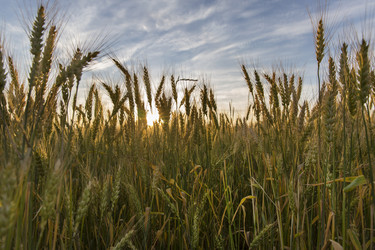 Similar image 21400204