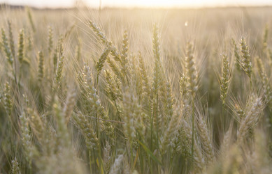 Similar image 21400206