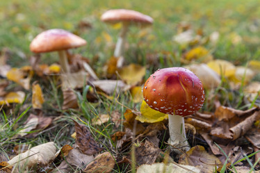 Similar image 21400207