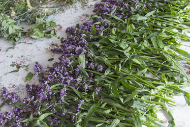 Similar image 21400208