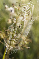 Similar image 21400210