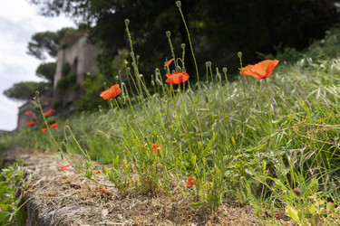 Similar image 21400211