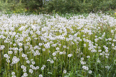 Similar image 21400213