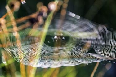 Similar image 21400214