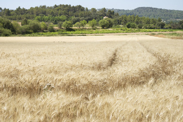 Similar image 21400215