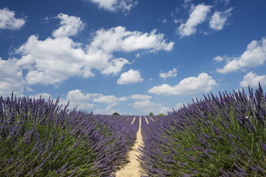 Similar image 21400217