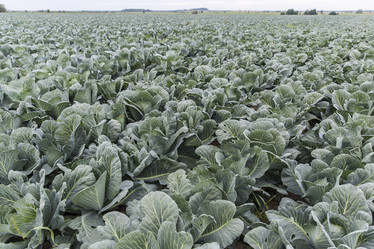 Similar image 21400218