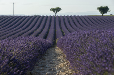 Similar image 21400220