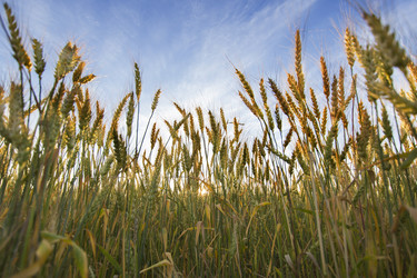 Similar image 21400221