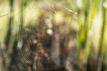 Similar image 21400222