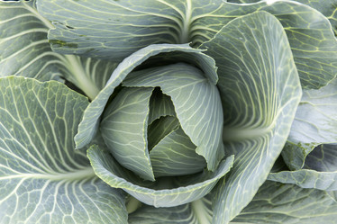 Similar image 21400224