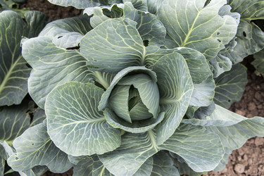 Similar image 21400226