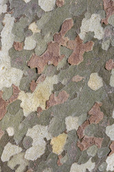 Similar image 21400229