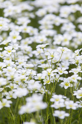 Similar image 21400233