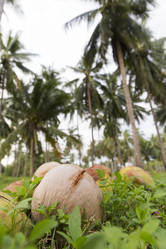 Similar image 21400234