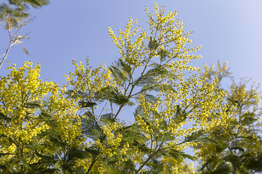 Similar image 21400235