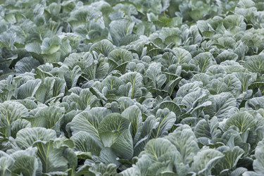 Similar image 21400236