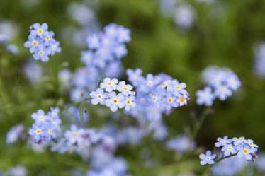 Similar image 21400237