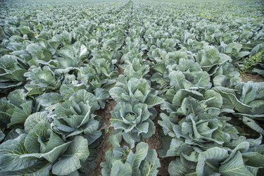 Similar image 21400238