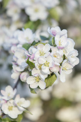 Similar image 21400239