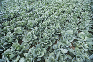 Similar image 21400240