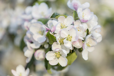 Similar image 21400243