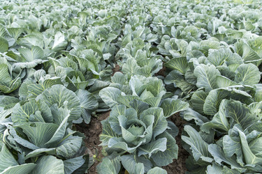 Similar image 21400244